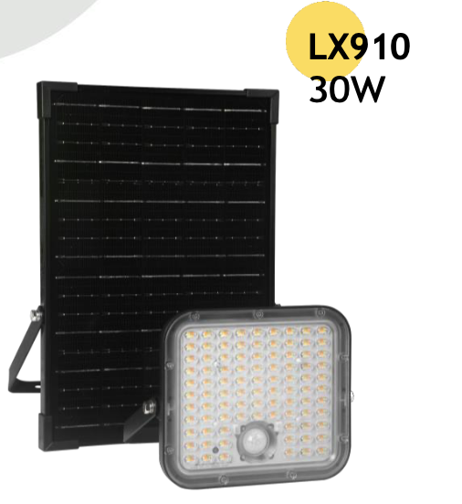 REFLECTOR LED LX910 - 30 w